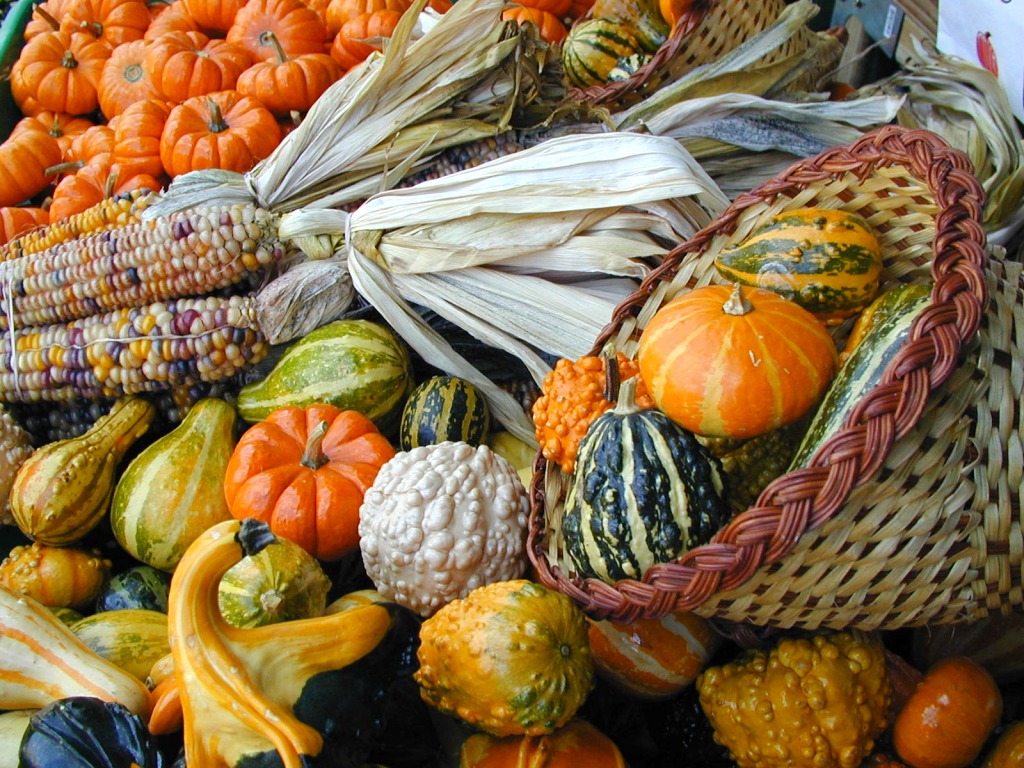 Gourds-A-Plenty jigsaw puzzle in Puzzle of the Day puzzles on TheJigsawPuzzles.com
