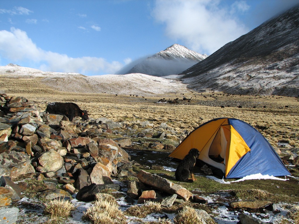 Camping in Tibet jigsaw puzzle in Great Sightings puzzles on TheJigsawPuzzles.com