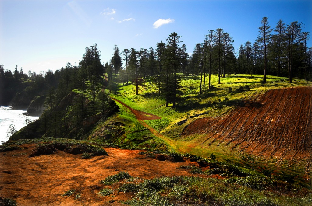 Norfolk Island jigsaw puzzle in Great Sightings puzzles on TheJigsawPuzzles.com