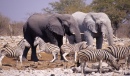 Etosha National Park, Namibia