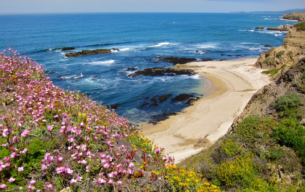 Half Moon Bay jigsaw puzzle in Great Sightings puzzles on TheJigsawPuzzles.com