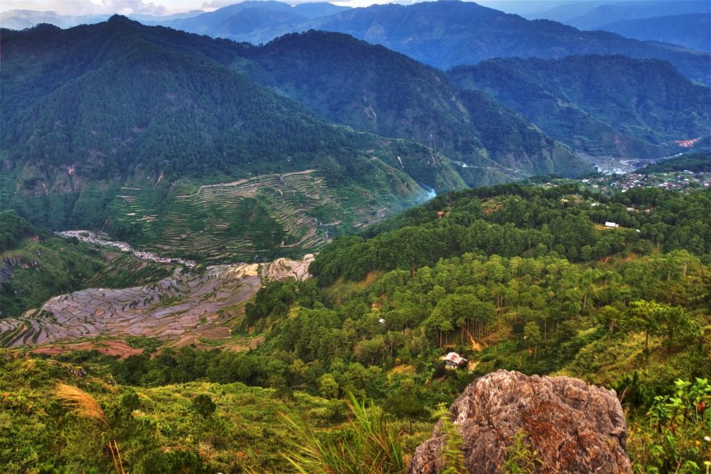 Sagada Terraces, Philippines jigsaw puzzle in Great Sightings puzzles on TheJigsawPuzzles.com