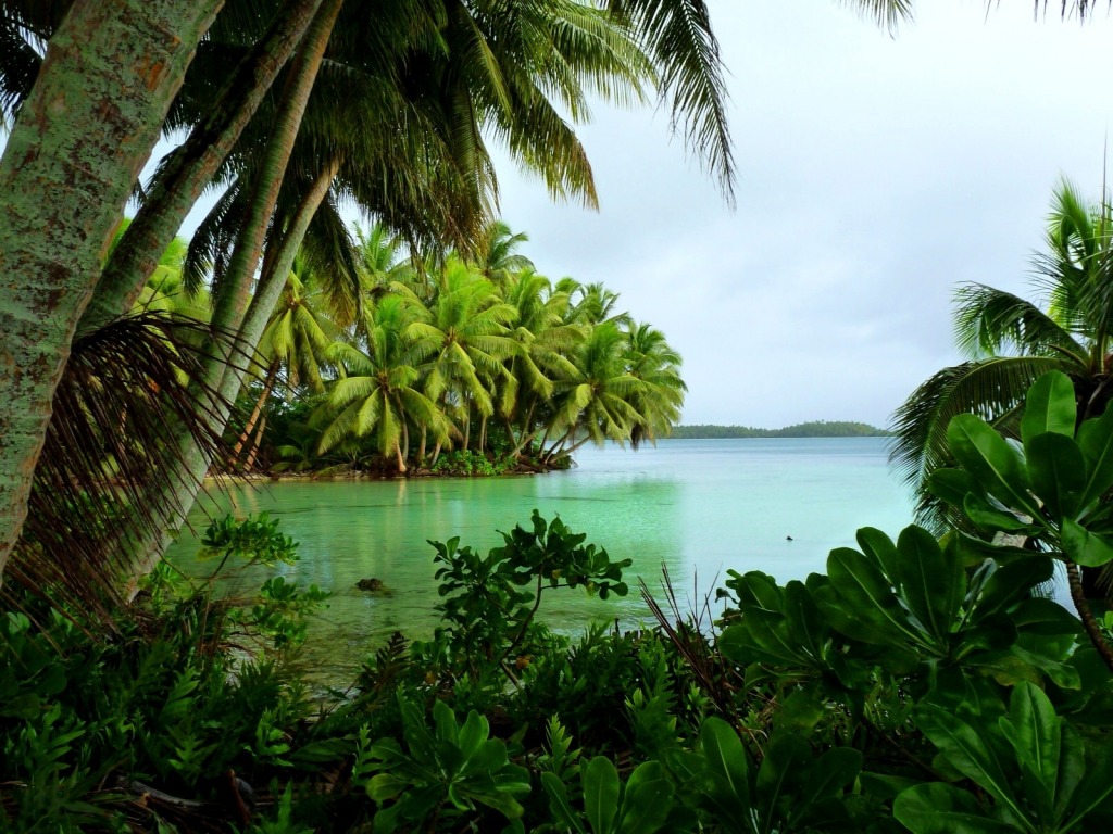 Strawn Island at Palmyra Atoll jigsaw puzzle in Great Sightings puzzles on TheJigsawPuzzles.com
