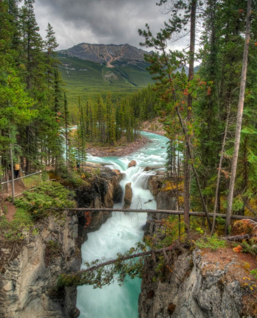 Sunwapta Falls, Jasper NP jigsaw puzzle in Waterfalls puzzles on TheJigsawPuzzles.com