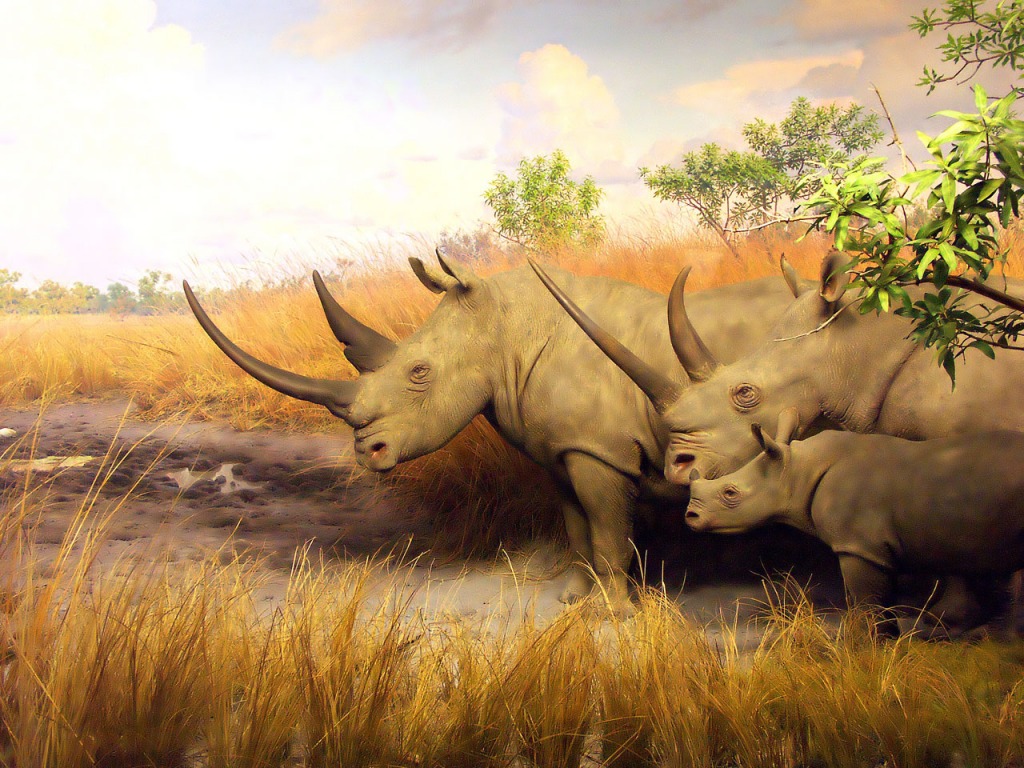 Padded Rhinos jigsaw puzzle in Animals puzzles on TheJigsawPuzzles.com