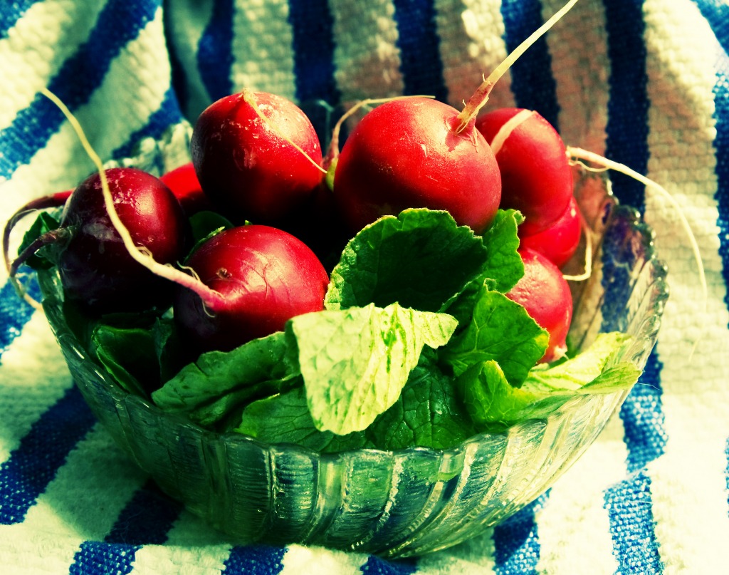 Old-fashioned Radishes jigsaw puzzle in Puzzle of the Day puzzles on TheJigsawPuzzles.com