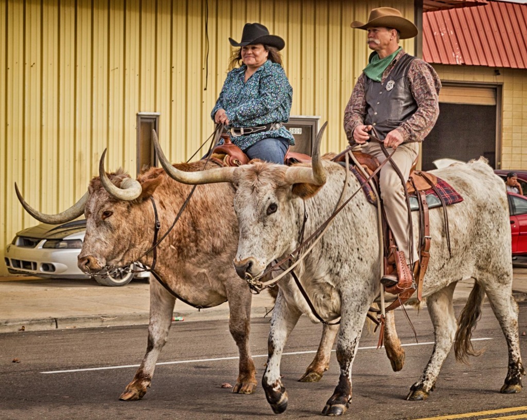 Longhorn Steer Riders jigsaw puzzle in People puzzles on TheJigsawPuzzles.com