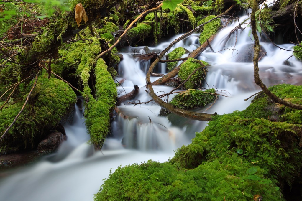 Alder Springs, Oregon jigsaw puzzle in Waterfalls puzzles on TheJigsawPuzzles.com