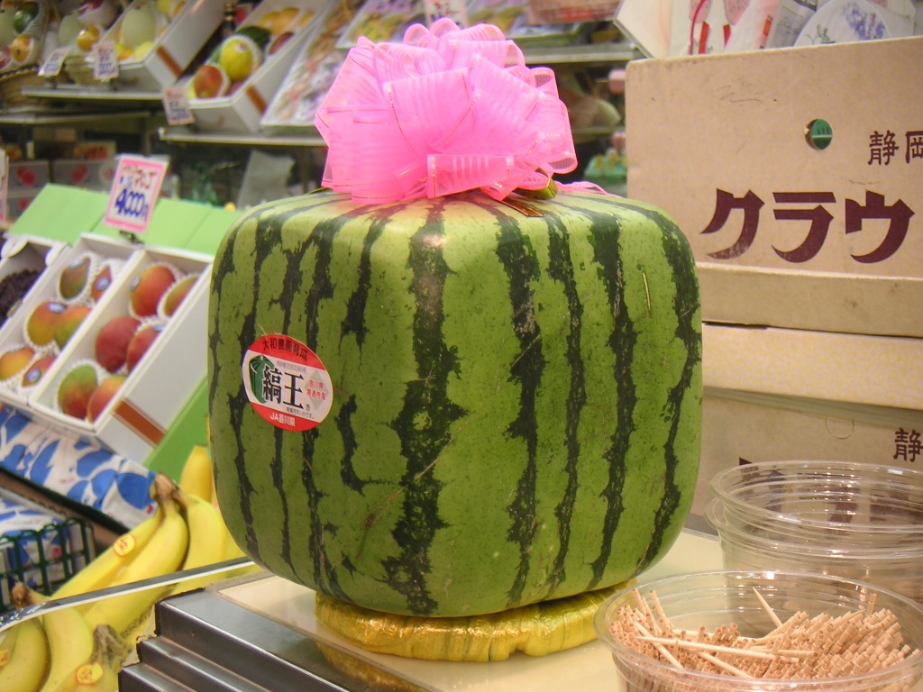 Cube Watermelon in Tokyo jigsaw puzzle in Puzzle of the Day puzzles on TheJigsawPuzzles.com
