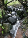 Sawyer Camp Trail, Northern California