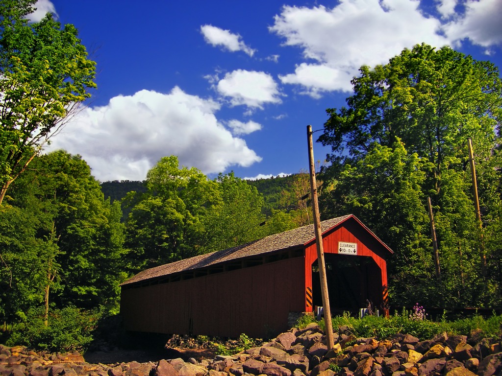 Sonestown Covered Bridge, Sullivan County jigsaw puzzle in Bridges puzzles on TheJigsawPuzzles.com