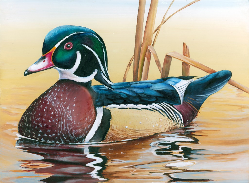 Junior Duck Stamp Contest jigsaw puzzle in Animals puzzles on TheJigsawPuzzles.com
