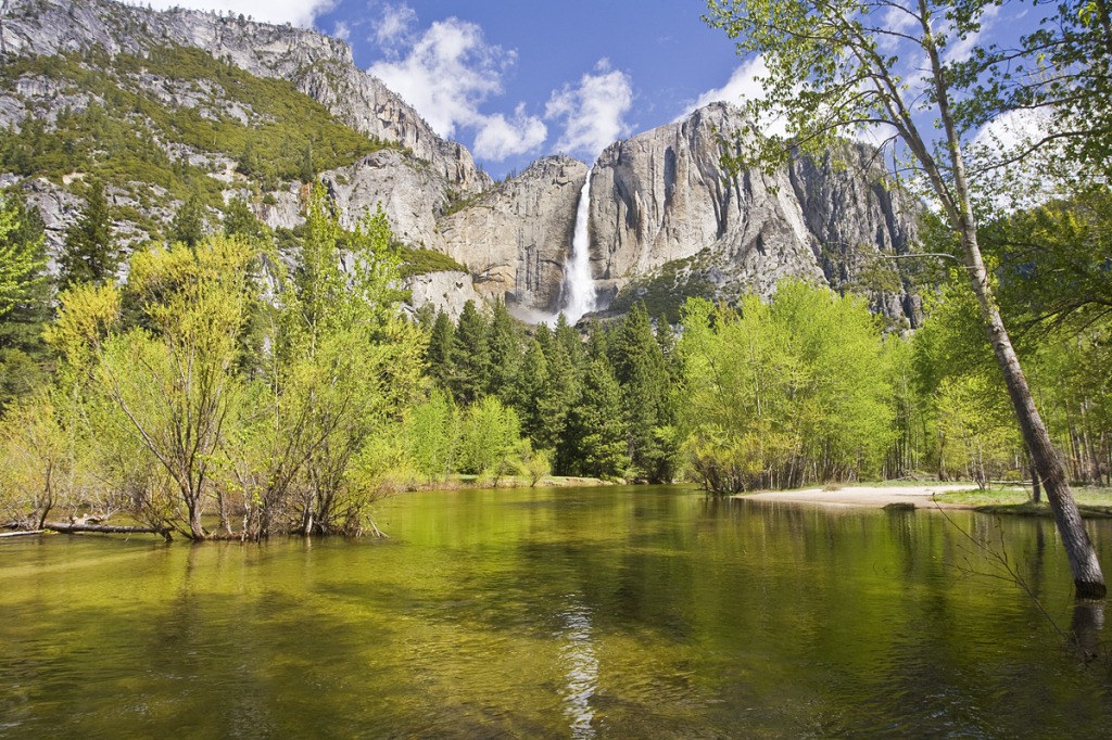 Merced River and Yosemite Falls jigsaw puzzle in Waterfalls puzzles on TheJigsawPuzzles.com