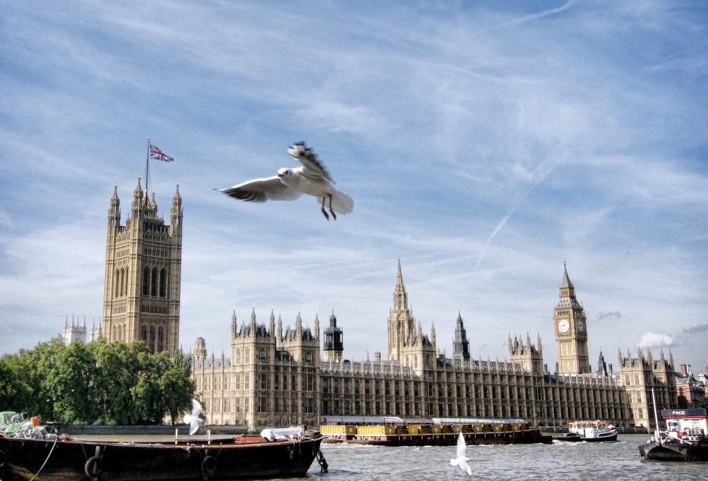Seagull over Westminster jigsaw puzzle in Animals puzzles on TheJigsawPuzzles.com