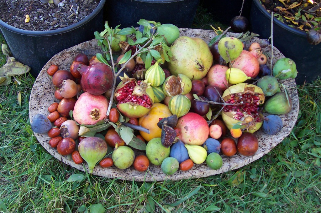 Corbeille de Fruits d'Automne jigsaw puzzle in Fruits & Veggies puzzles on TheJigsawPuzzles.com