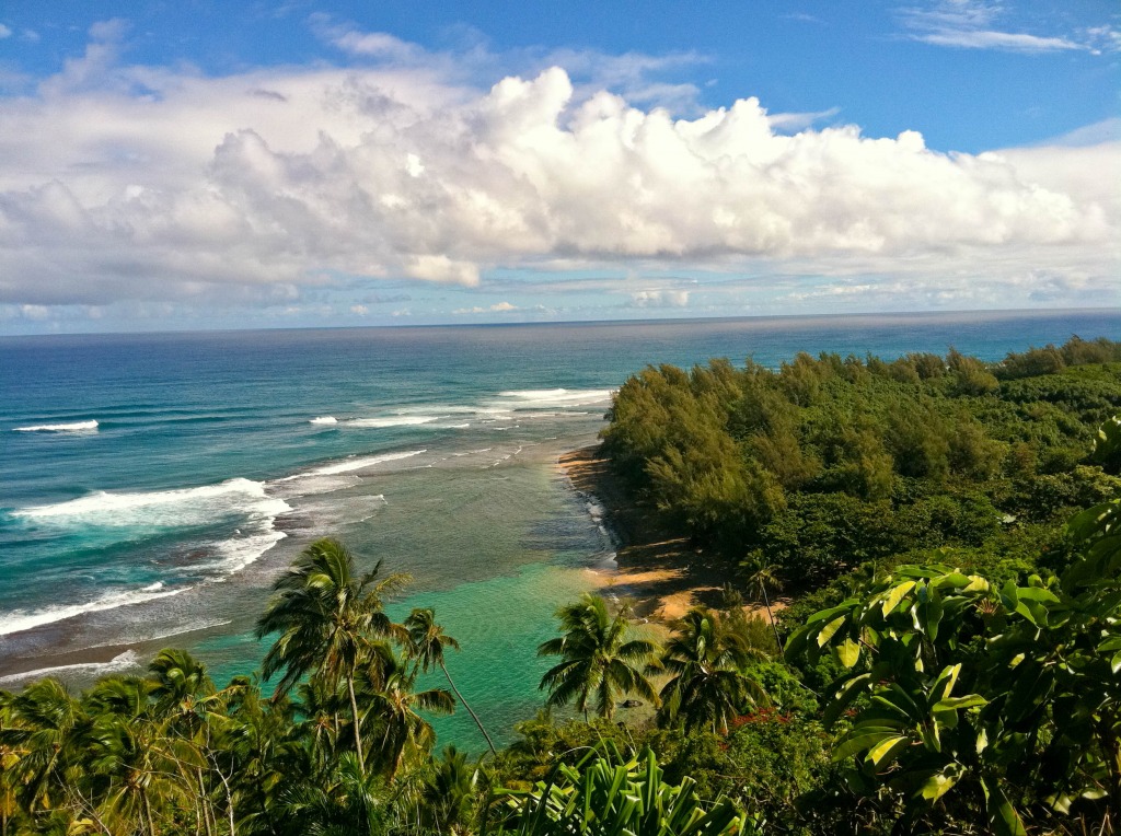 Island of Kauai, Hawaii jigsaw puzzle in Puzzle of the Day puzzles on TheJigsawPuzzles.com