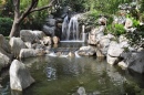 Sydney Chinese Gardens