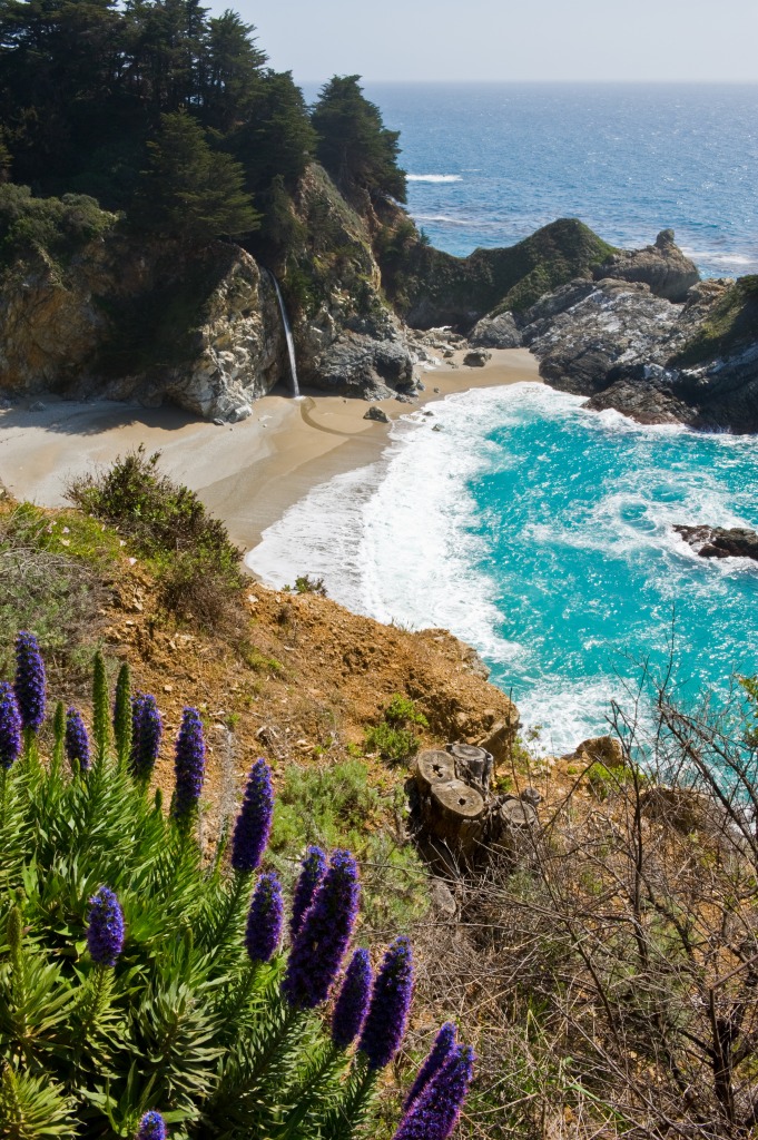 Julia Pfeiffer Burns State Park jigsaw puzzle in Waterfalls puzzles on TheJigsawPuzzles.com