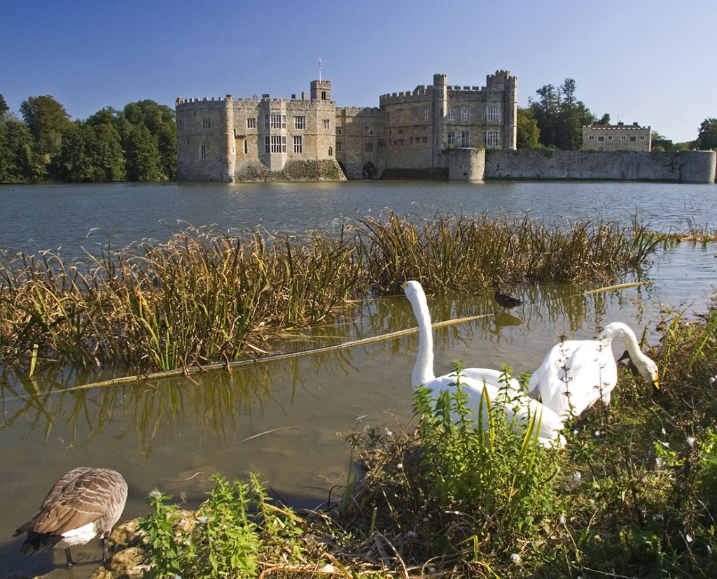 Leeds Castle, Kent, England jigsaw puzzle in Castles puzzles on TheJigsawPuzzles.com