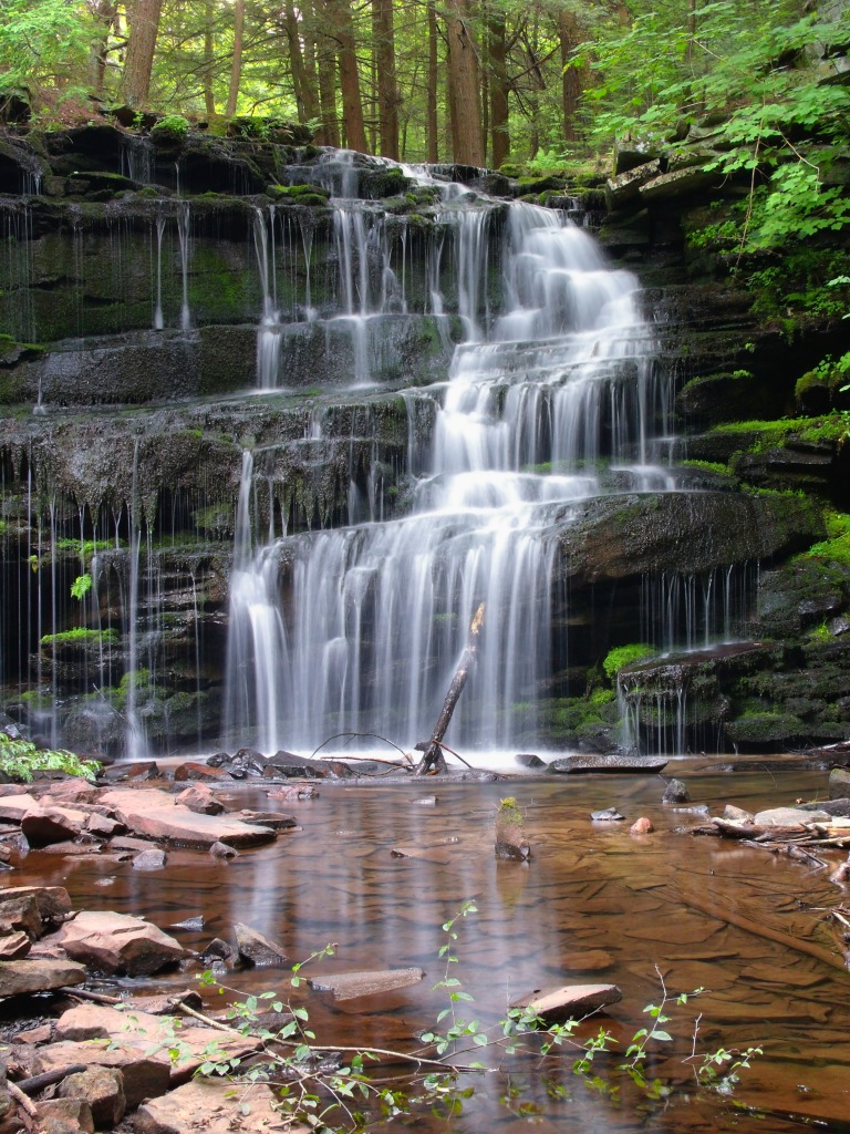 Rosecrans Falls, Clinton County, Pennsylvania jigsaw puzzle in Waterfalls puzzles on TheJigsawPuzzles.com