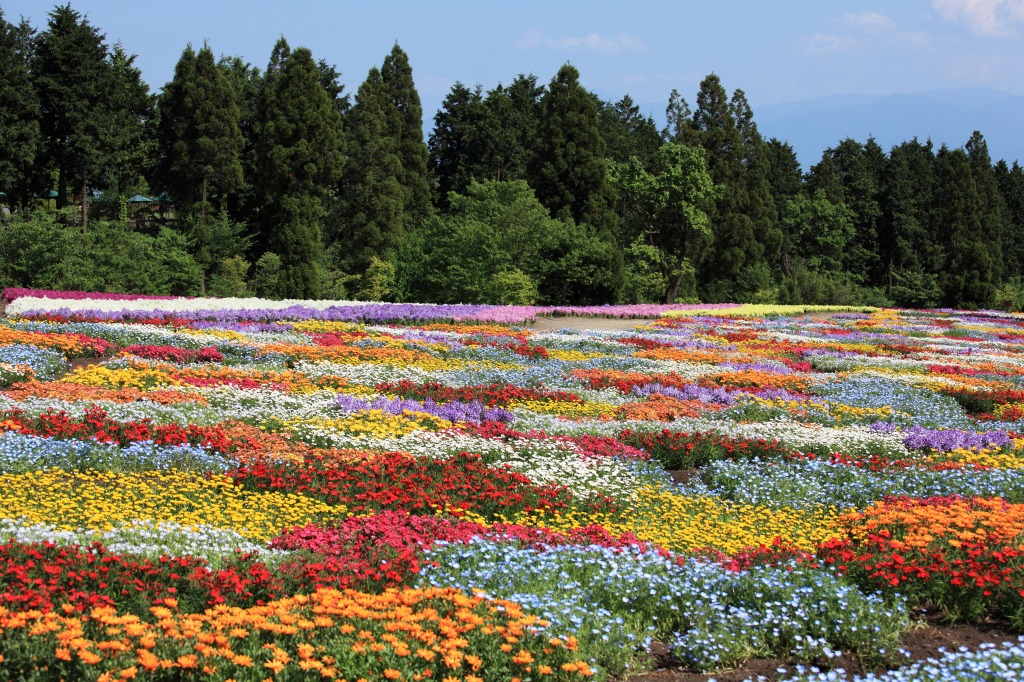 Japanese Flower Carpet jigsaw puzzle in Flowers puzzles on TheJigsawPuzzles.com