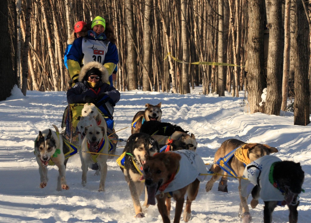 Sled Dog Race in Anchorage, Alaska jigsaw puzzle in People puzzles on TheJigsawPuzzles.com