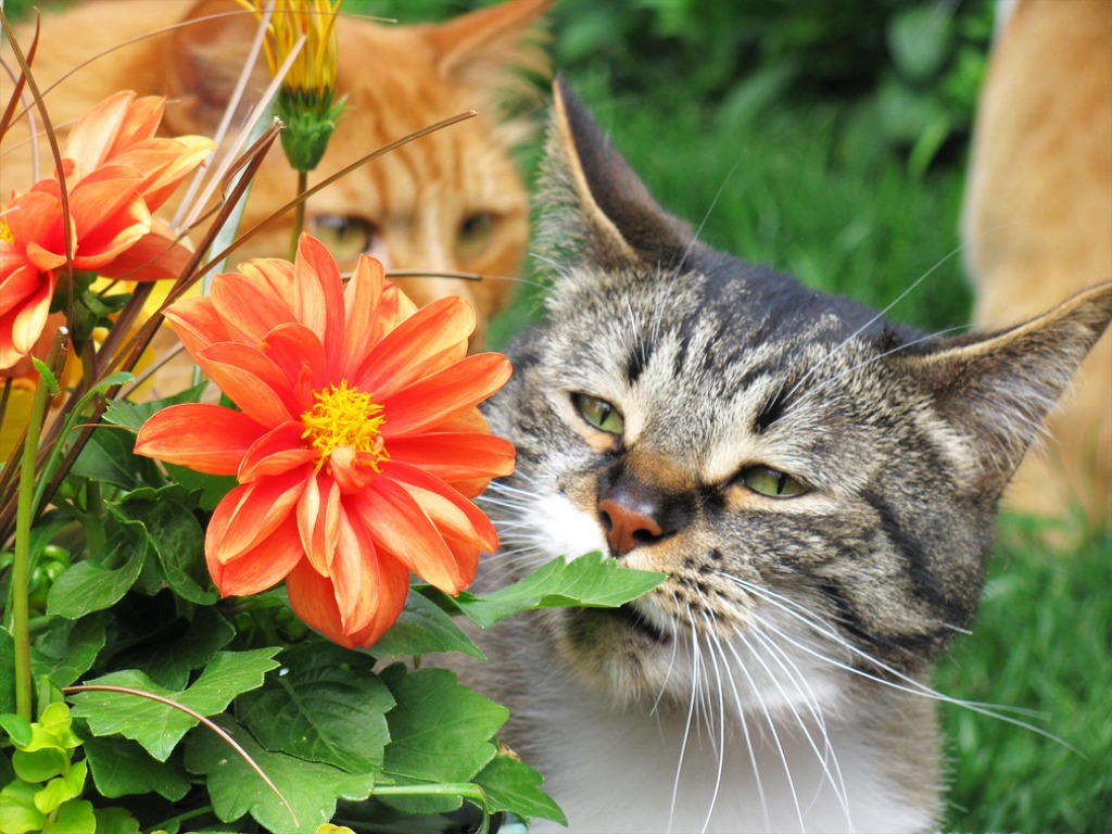 Taking Time to Smell the Flowers jigsaw puzzle in Puzzle of the Day puzzles on TheJigsawPuzzles.com