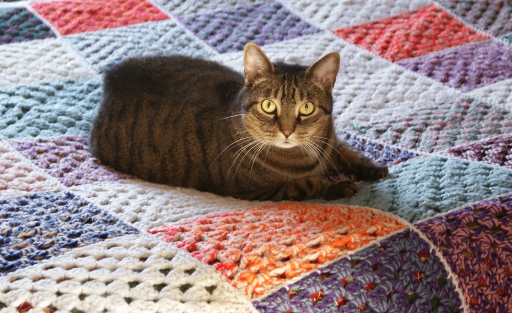 Kitty on the Crochet Blanket jigsaw puzzle in Handmade puzzles on TheJigsawPuzzles.com