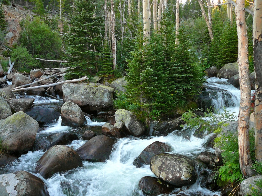 Trail From Bear Lake to Sprague Lake jigsaw puzzle in Waterfalls puzzles on TheJigsawPuzzles.com