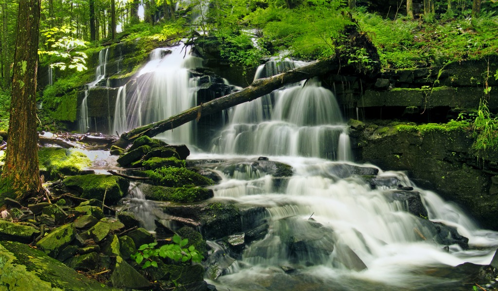 Stairway Falls, Pike County jigsaw puzzle in Waterfalls puzzles on TheJigsawPuzzles.com