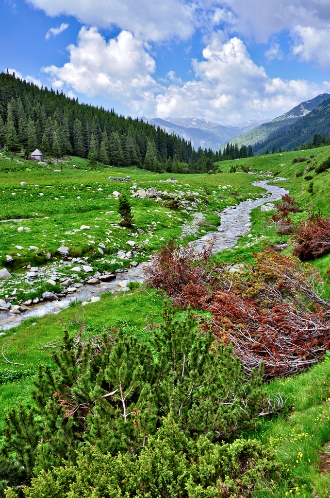 Winding Mountain River jigsaw puzzle in Great Sightings puzzles on TheJigsawPuzzles.com