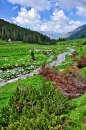 Winding Mountain River