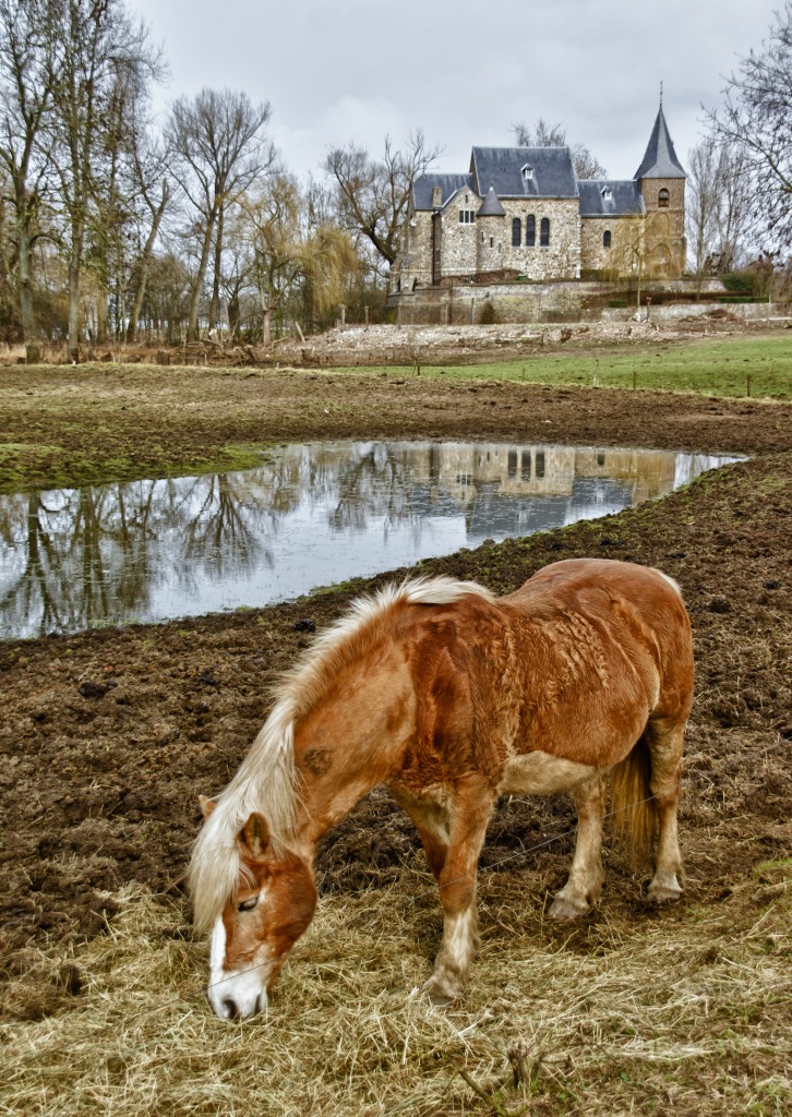 Country Life jigsaw puzzle in Animals puzzles on TheJigsawPuzzles.com