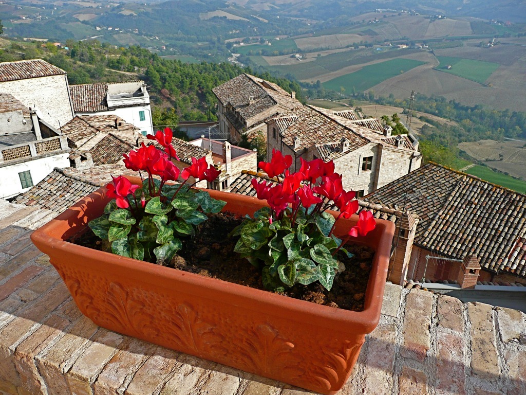 Ciclamini a Montedinove jigsaw puzzle in Flowers puzzles on TheJigsawPuzzles.com