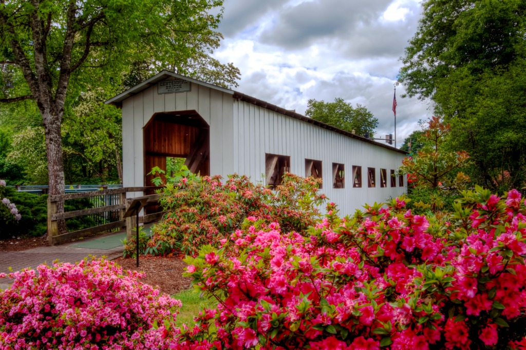 Centennial Bridge, Cottage Grove, OR jigsaw puzzle in Flowers puzzles on TheJigsawPuzzles.com