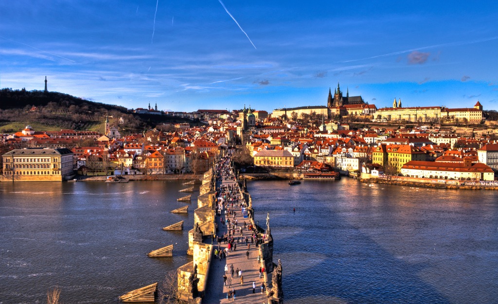 By the Charles Bridge, Prague jigsaw puzzle in Bridges puzzles on TheJigsawPuzzles.com