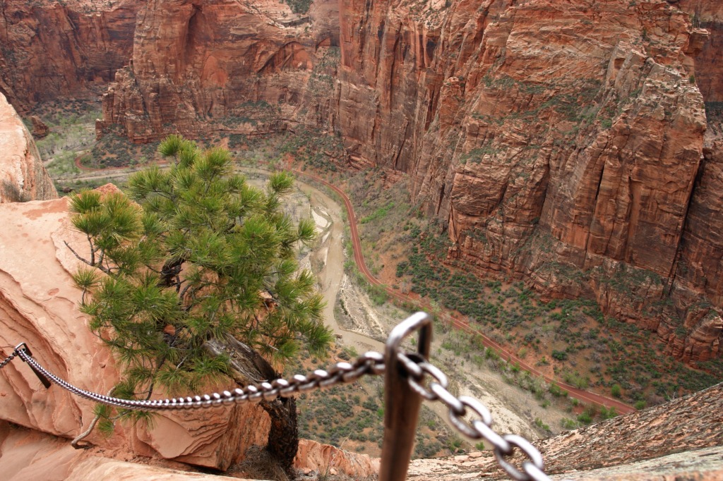 Zion National Park jigsaw puzzle in Great Sightings puzzles on TheJigsawPuzzles.com