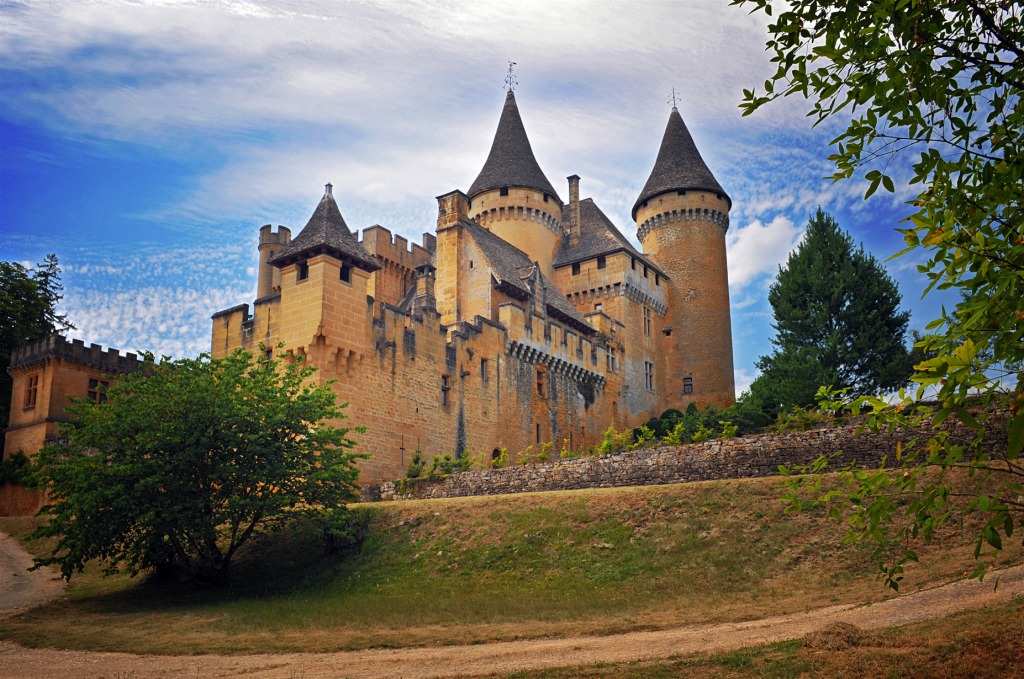 Chateau de Puymartin, France jigsaw puzzle in Castles puzzles on TheJigsawPuzzles.com