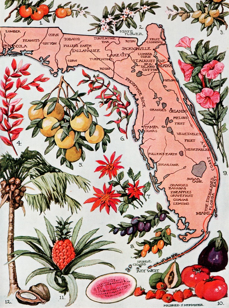 Florida, The Everglade State jigsaw puzzle in Fruits & Veggies puzzles on TheJigsawPuzzles.com