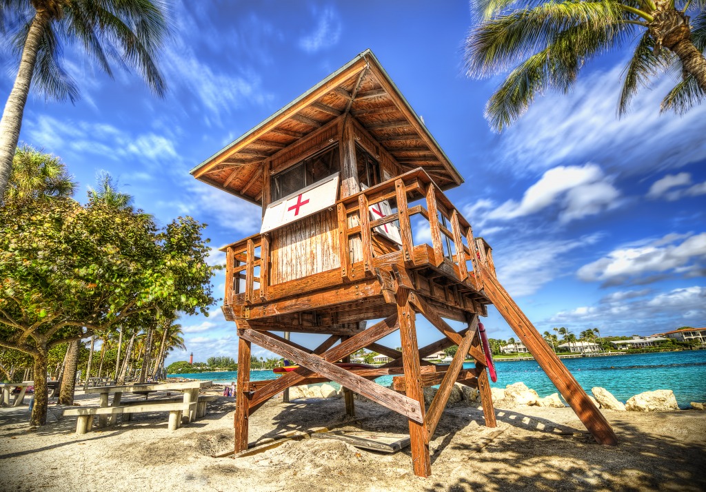 LifeStand on Jupiter Beach jigsaw puzzle in Puzzle of the Day puzzles on TheJigsawPuzzles.com