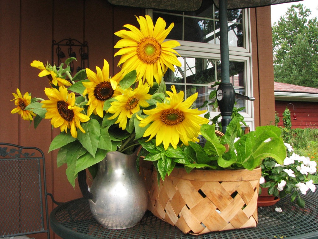 Sunflowers jigsaw puzzle in Flowers puzzles on TheJigsawPuzzles.com