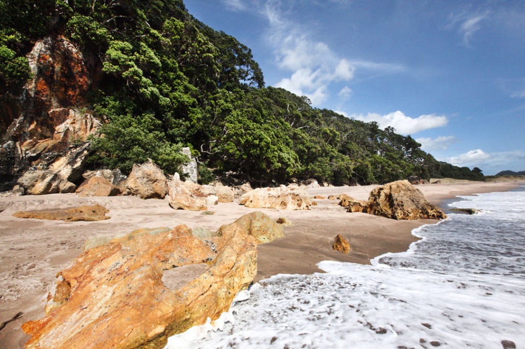 New Zealand Wild Coast jigsaw puzzle in Great Sightings puzzles on TheJigsawPuzzles.com