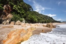 New Zealand Wild Coast