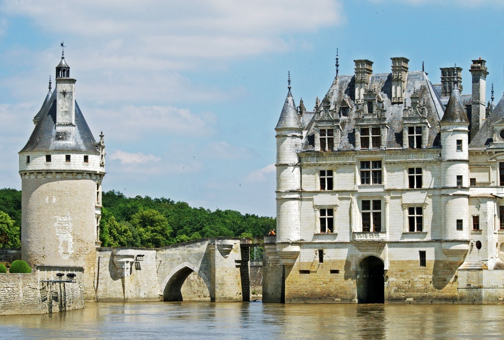 Château de Chenonceau, France jigsaw puzzle in Castles puzzles on TheJigsawPuzzles.com