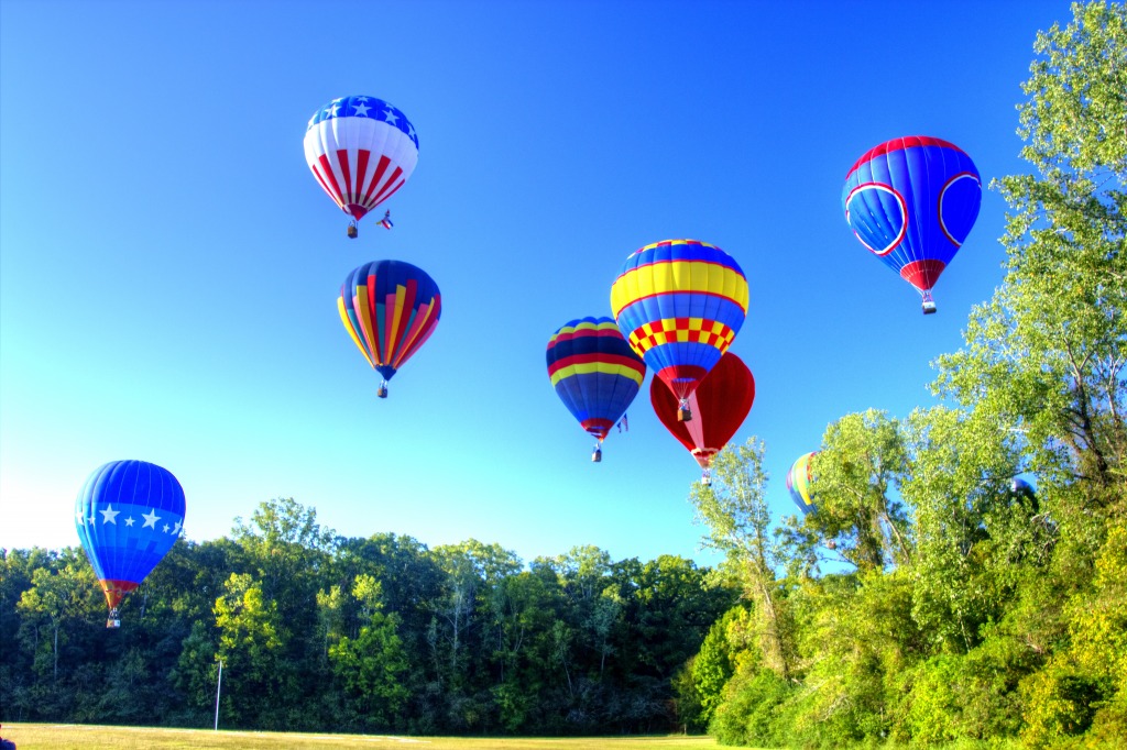 Natchez, MS Balloon Festival jigsaw puzzle in Puzzle of the Day puzzles on TheJigsawPuzzles.com
