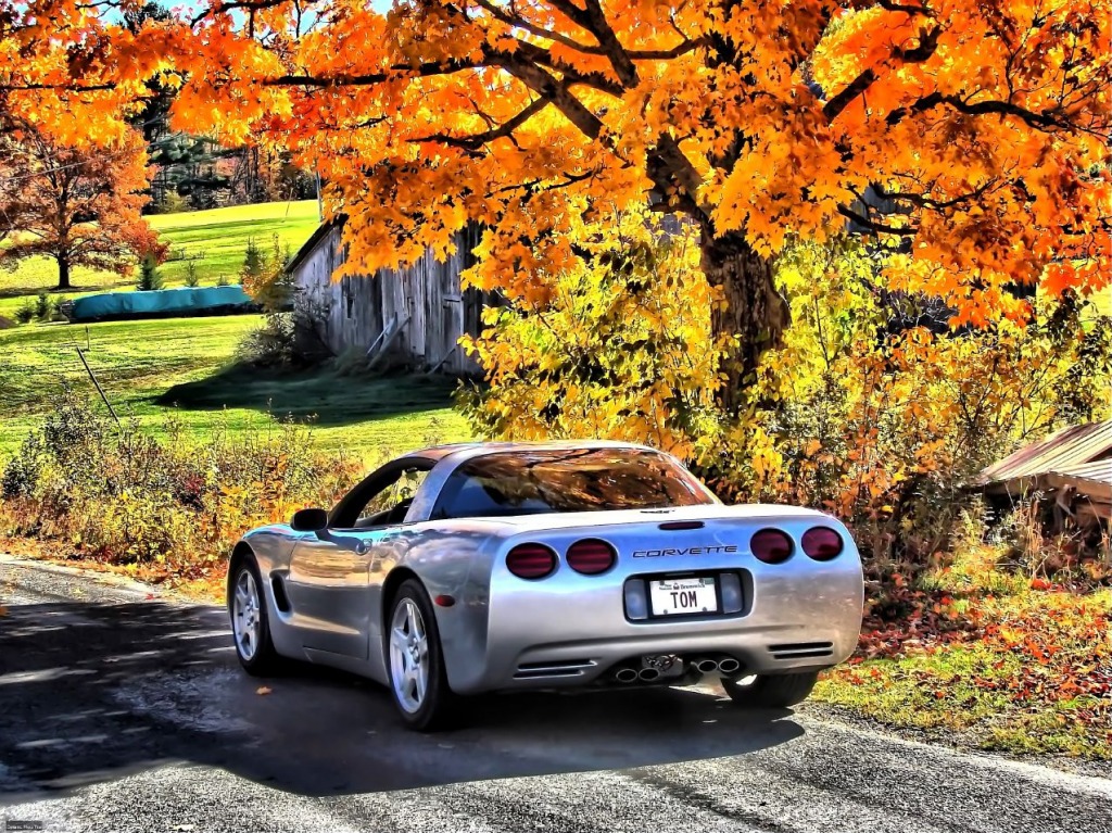 Corvette jigsaw puzzle in Puzzle of the Day puzzles on TheJigsawPuzzles.com