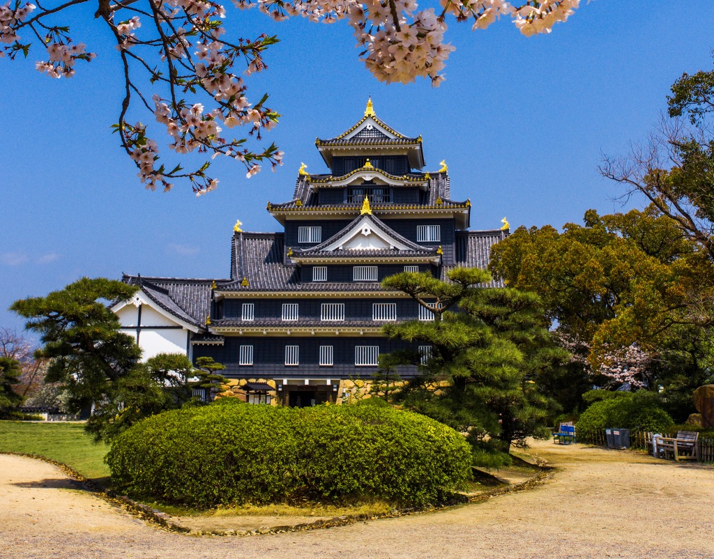 Okayama Castle, Japan jigsaw puzzle in Castles puzzles on TheJigsawPuzzles.com