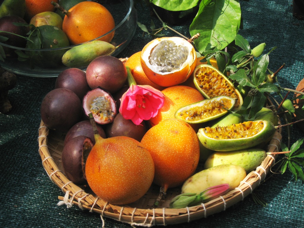 Tropical Fruits jigsaw puzzle in Fruits & Veggies puzzles on TheJigsawPuzzles.com