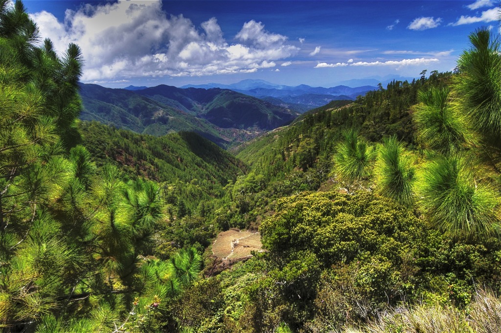 Pulag Mountain Landscape, Philippines jigsaw puzzle in Puzzle of the Day puzzles on TheJigsawPuzzles.com