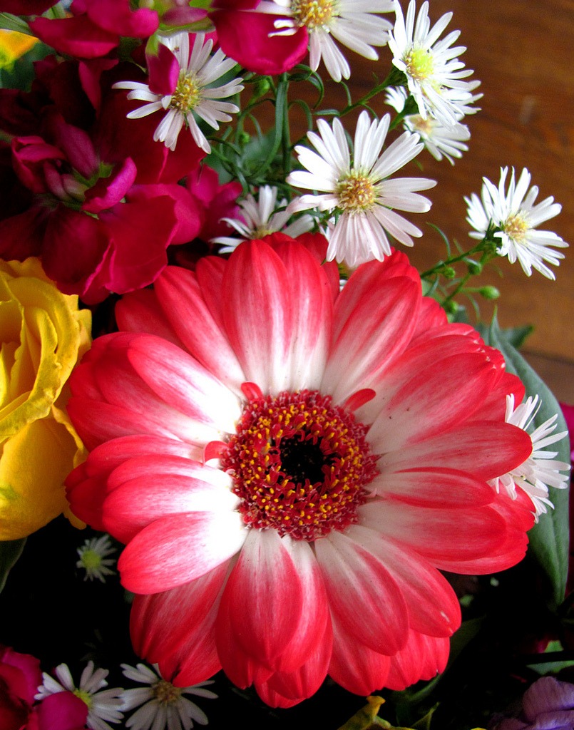 Sweet Flowers for My Birthday jigsaw puzzle in Flowers puzzles on TheJigsawPuzzles.com